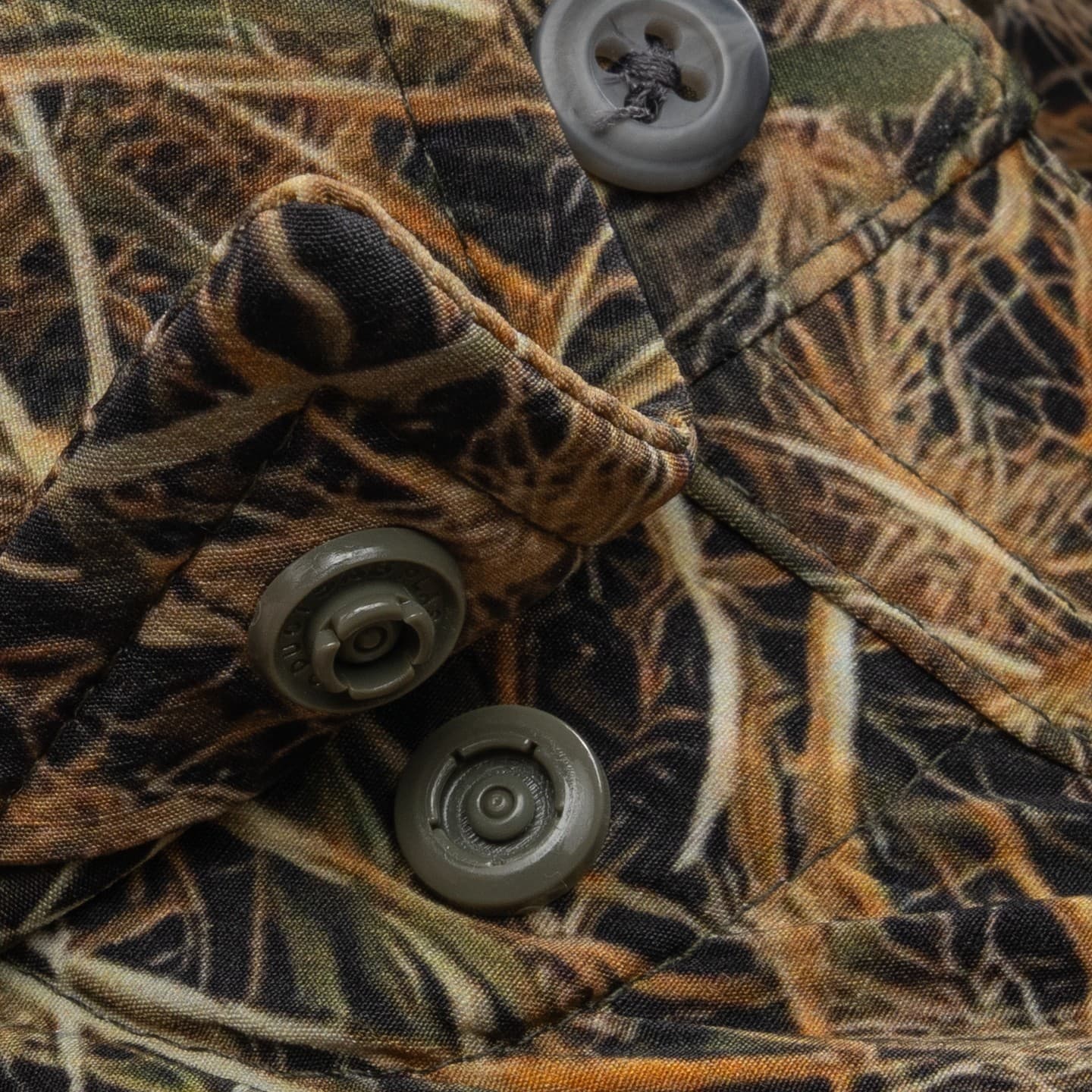 The Banded Duck